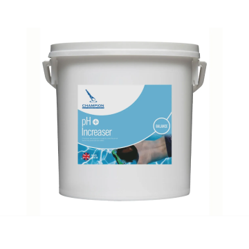 Champion Pool / Hot Tub / Spa Alkalinity Increaser - 5kg